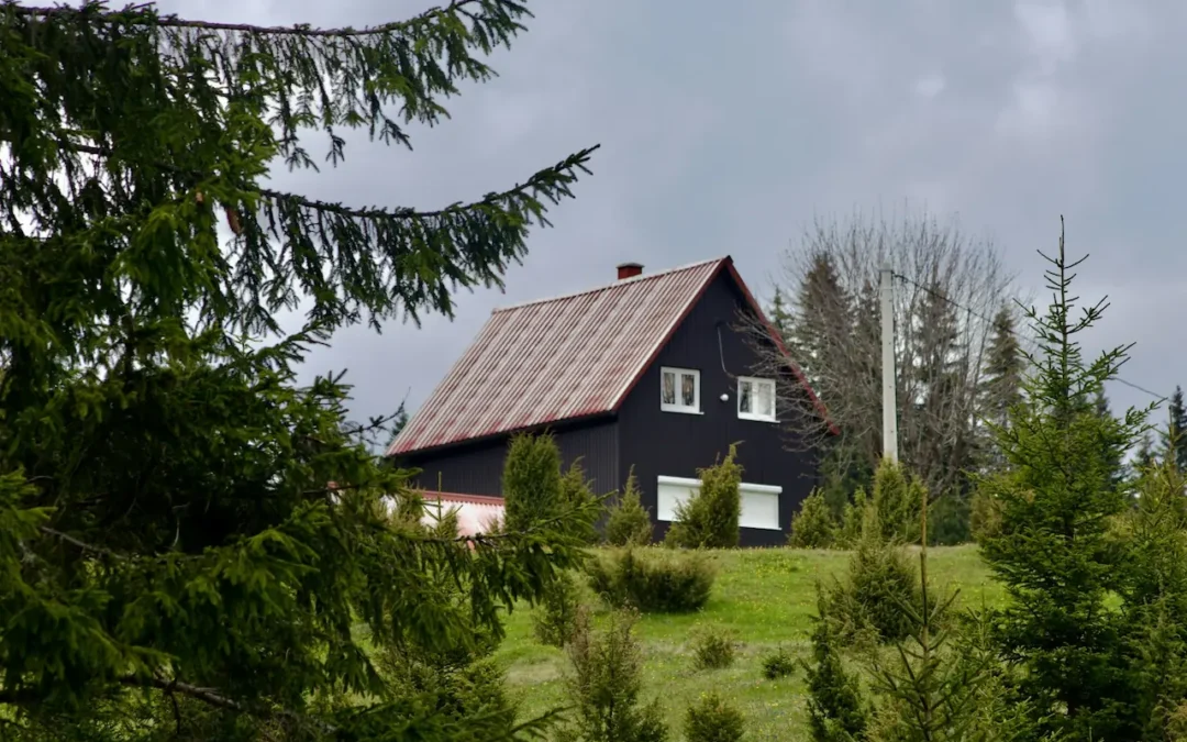 Ciemny drewniany dom